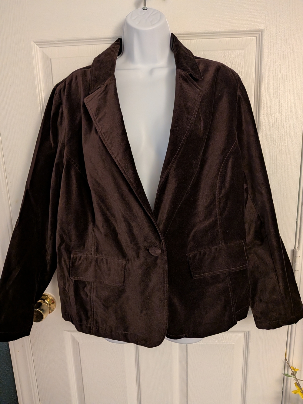 NWT Vintage Avenue Blues Women’s 18W/20W Brown Velvet Blazer Cuff Buttons Y2K